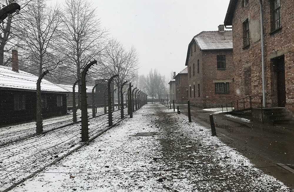 Auschwitz- Conhecendo um Campo de Concentração