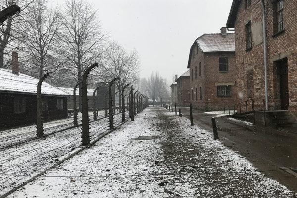 Auschwitz- Conhecendo um Campo de Concentração