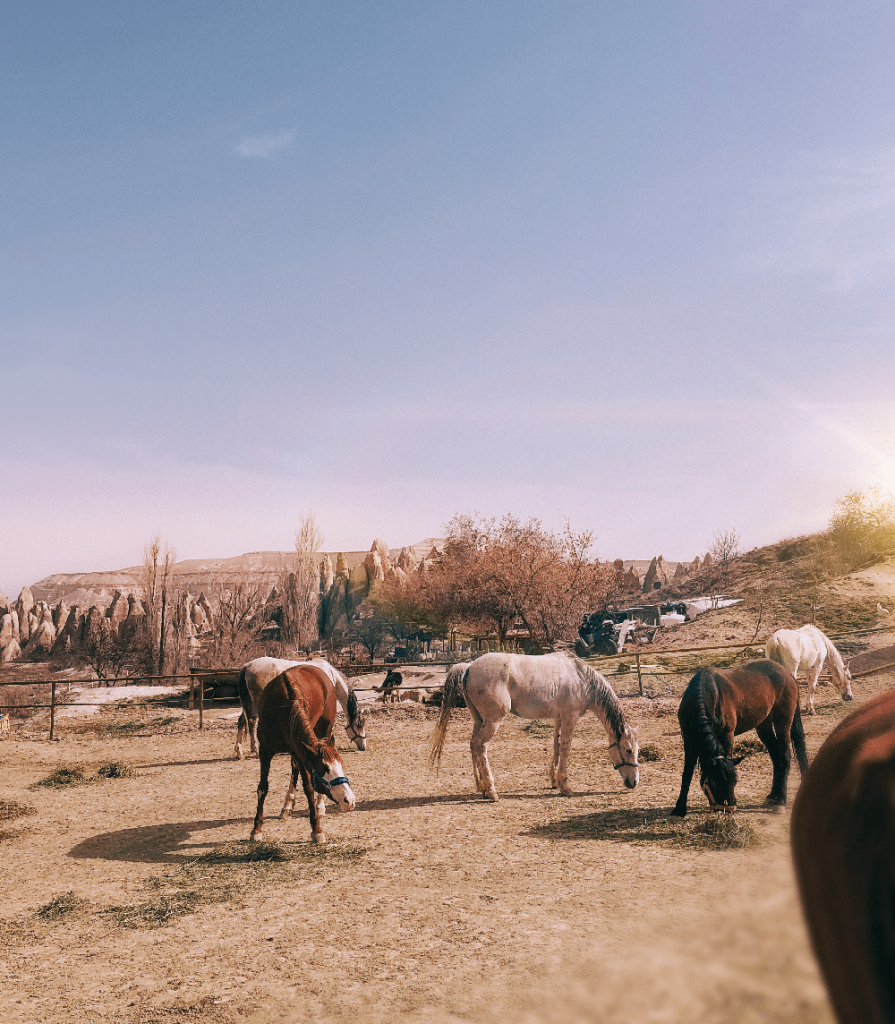 Cappadocia